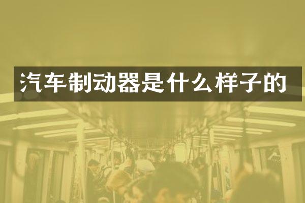 汽车制动器是什么样子的