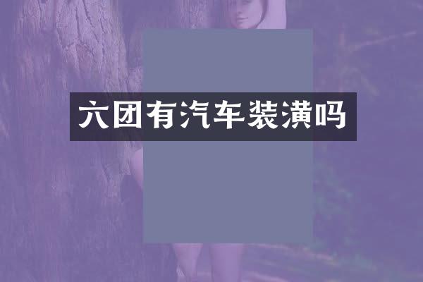 六团有汽车装潢吗