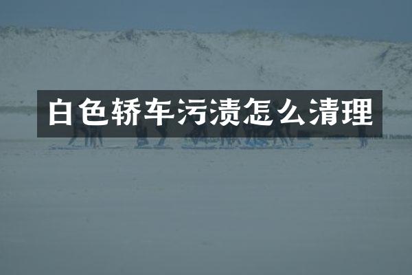 白色轿车污渍怎么清理