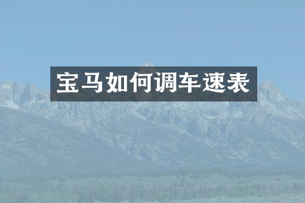 宝马如何调车速表