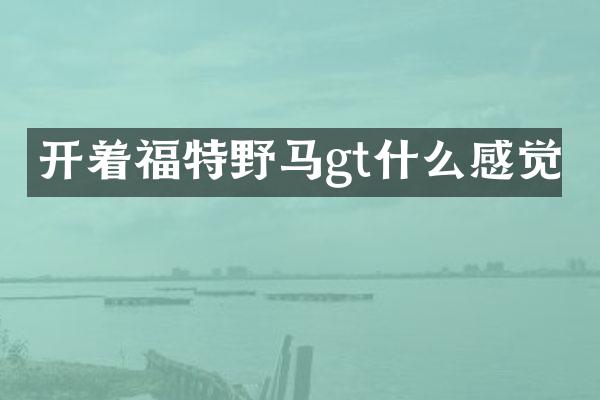 开着福特野马gt什么感觉