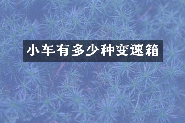小车有多少种变速箱