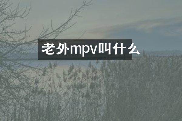 老外mpv叫什么