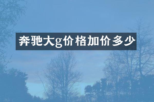 奔驰大g价格加价多少