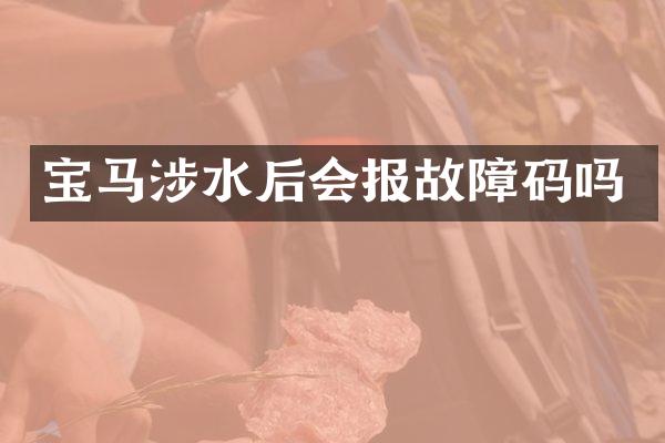 宝马涉水后会报故障码吗