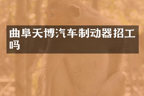 曲阜天博汽车制动器招工吗