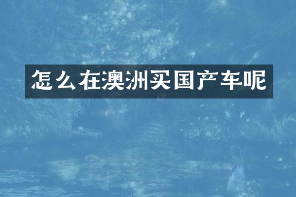 怎么在澳洲买国产车呢