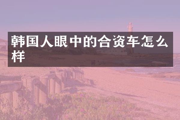 韩国人眼中的合资车怎么样
