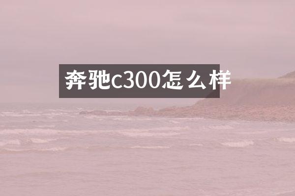 奔驰c300怎么样