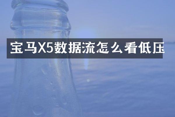 宝马X5数据流怎么看低压