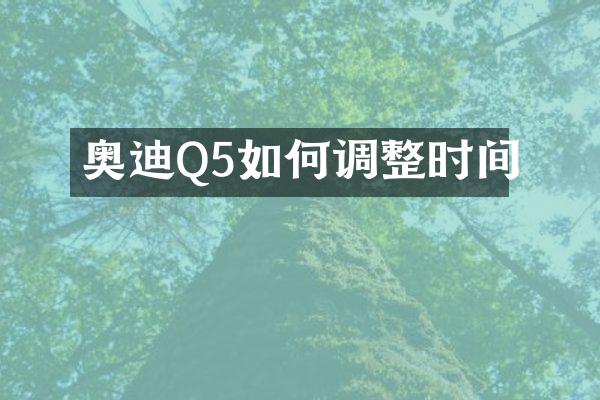 奥迪Q5如何调整时间