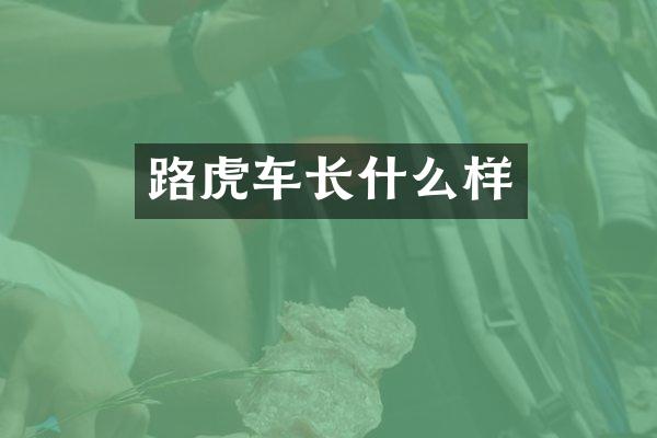路虎车长什么样