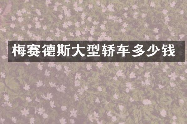 梅赛德斯大型轿车多少钱