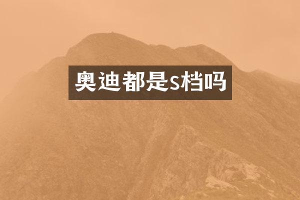 奥迪都是s档吗