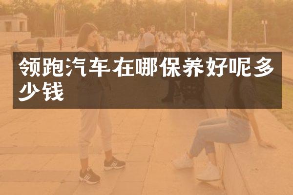 领跑汽车在哪保养好呢多少钱