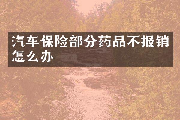 汽车保险部分药品不报销怎么办