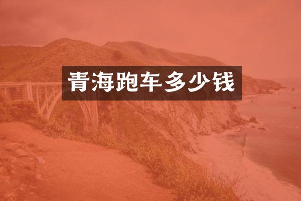 青海跑车多少钱