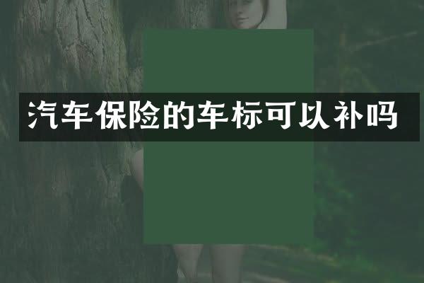 汽车保险的车标可以补吗