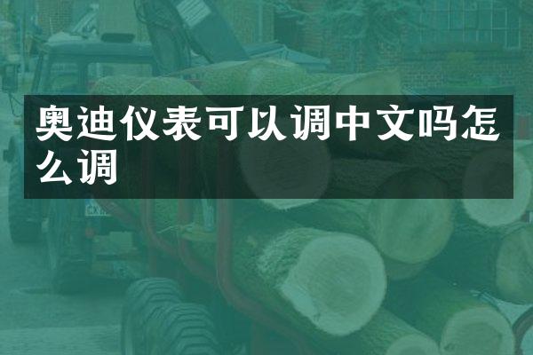 奥迪仪表可以调中文吗怎么调