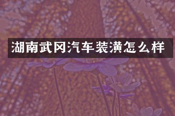 湖南武冈汽车装潢怎么样