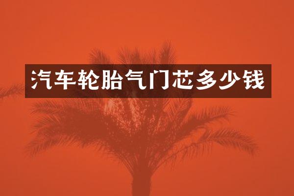 汽车轮胎气门芯多少钱