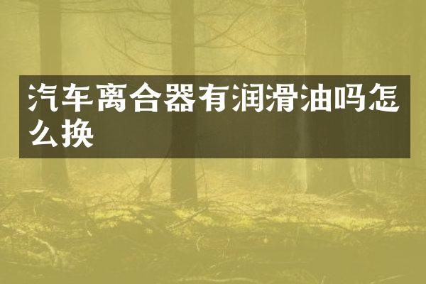 汽车离合器有润滑油吗怎么换