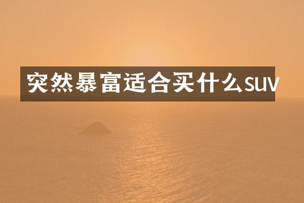 突然暴富适合suv
