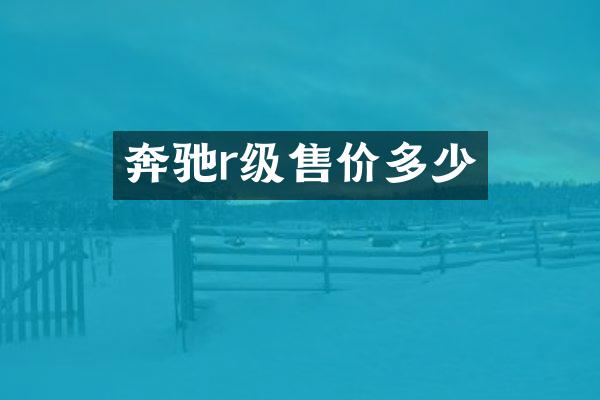 奔驰r级售价多少