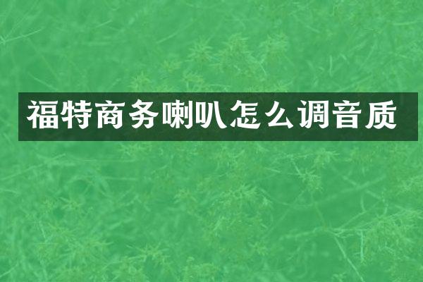 福特商务喇叭怎么调音质