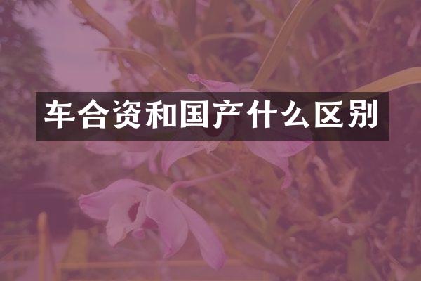 车合资和国产什么区别