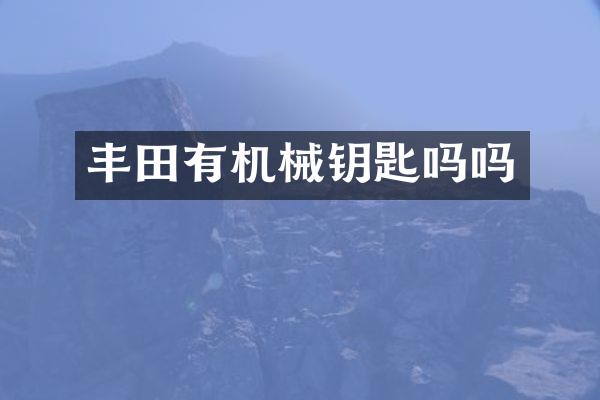 丰田有机械钥匙吗吗