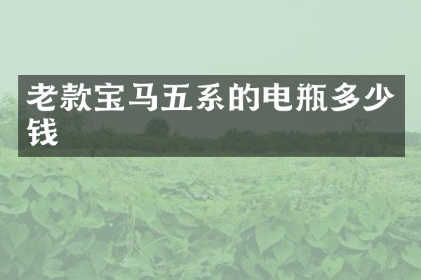 老款宝马五系的电瓶多少钱