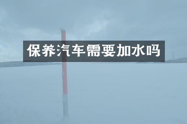 保养汽车需要加水吗