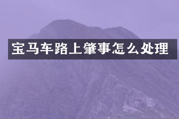 宝马车路上肇事怎么处理
