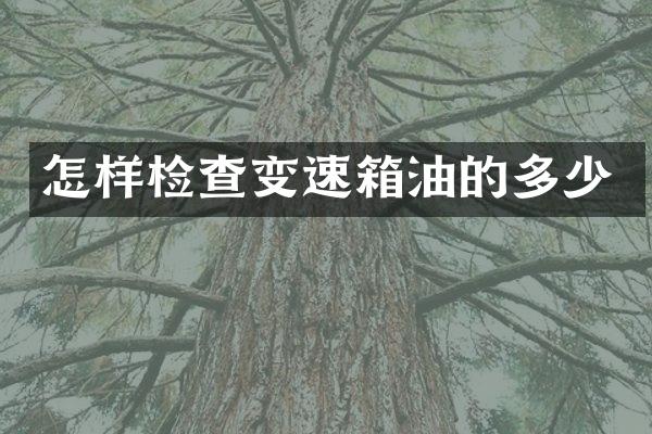 怎样检查变速箱油的多少