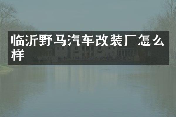 临沂野马汽车改装厂怎么样