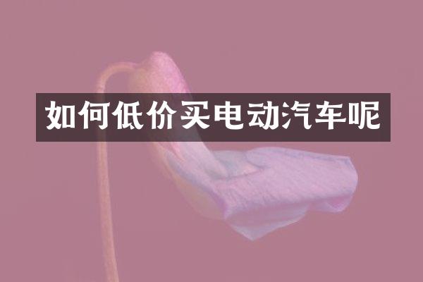 如何低价买电动汽车呢