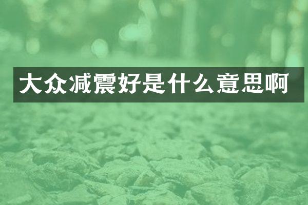 大众减震好是什么意思啊