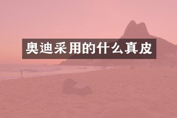 奥迪采用的什么真皮