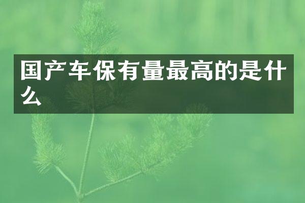 国产车保有量最高的是什么