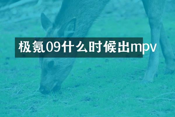 极氪09什么时候出mpv