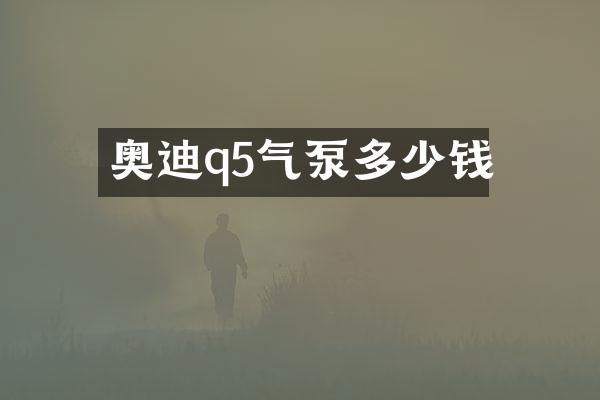 奥迪q5气泵多少钱