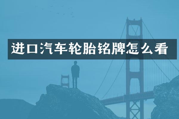 进口汽车轮胎铭牌怎么看