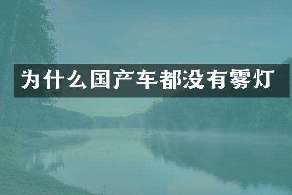 为什么国产车都没有雾灯