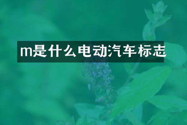 m是什么电动汽车标志