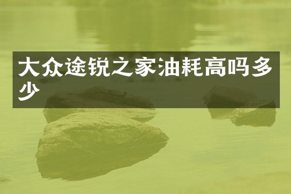 大众途锐之家油耗高吗多少