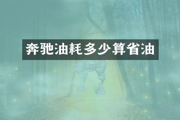 奔驰油耗多少算省油