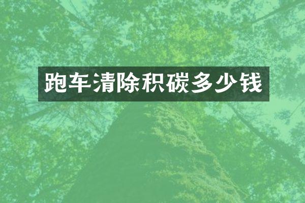 跑车清除积碳多少钱