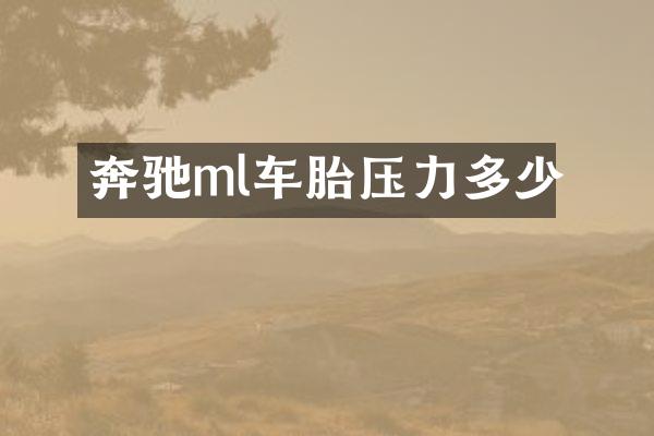 奔驰ml车胎压力多少