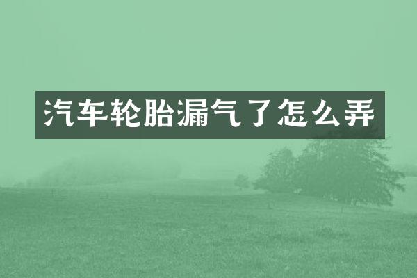 汽车轮胎漏气了怎么弄